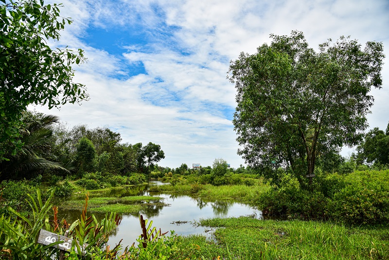 Nhà Thủ Đức