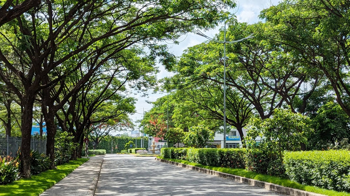 Đường nội bộ Khu EcoXuân