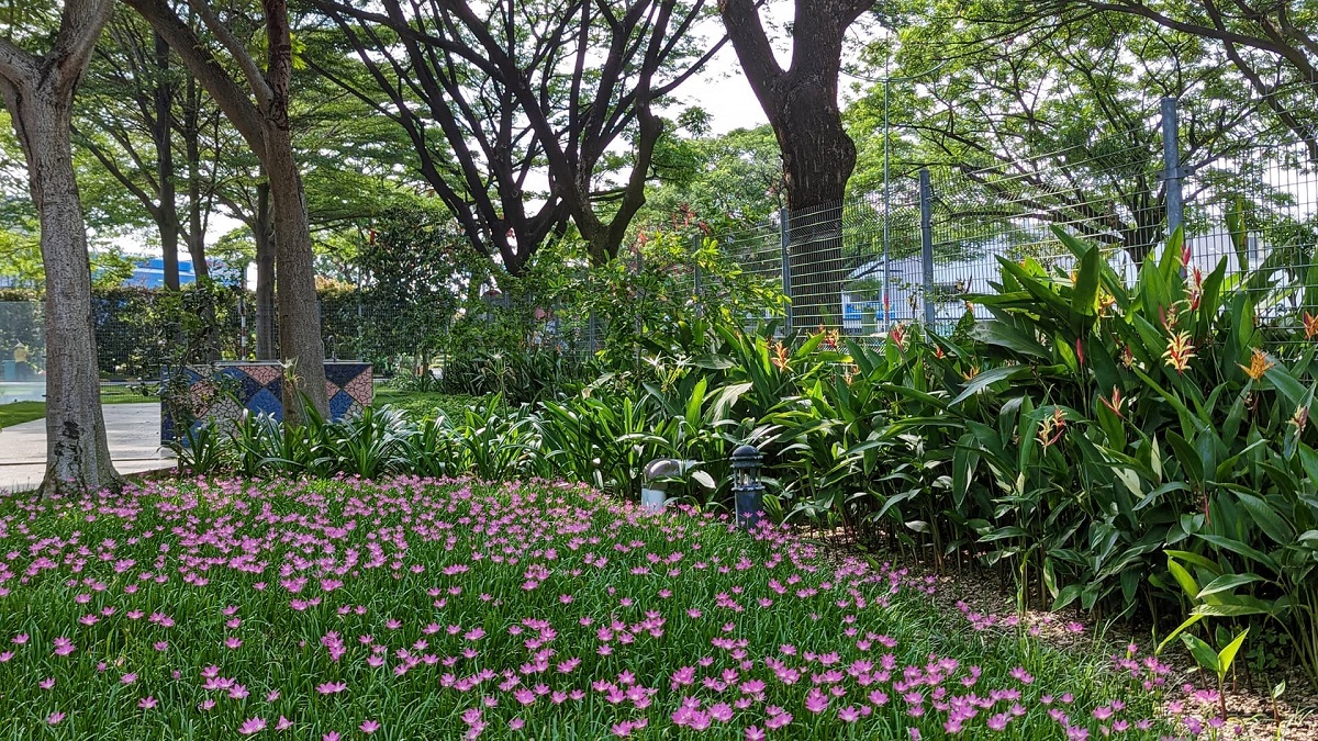 Vườn hoa EcoXuân